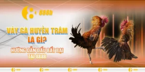 Vảy gà Huyền Trâm
