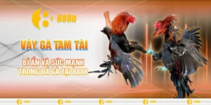 Vảy gà tam tài